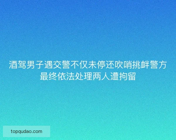 酒驾男子遇交警不仅未停还吹哨挑衅警方最终依法处理两人遭拘留 酒驾男子遇交警不仅未停还吹哨挑衅警方最终依法处理两人遭拘留
